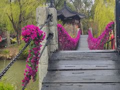 -南汇桃花村