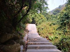 -火炉山森林公园