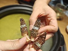 -一朵菌·野生菌探索家火锅(南亚店)