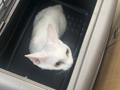 -美联众合动物医院·24h京西诊疗中心