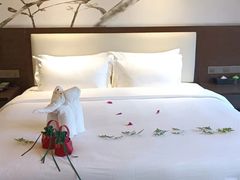 -中旅阿那亚九龙湖·公主酒店