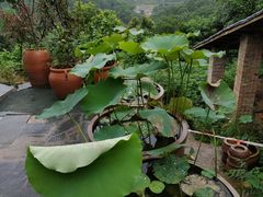 -远山有窑