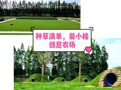 -前小桔亲子创意农场·草莓采摘·露营烧烤