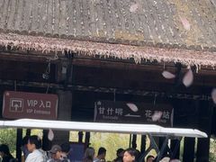 -海南槟榔谷黎苗文化旅游区