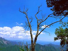 -秦岭风景区
