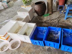 -陈岱后山窑鸡店