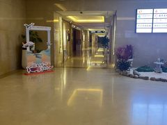 -郑州新郑国际机场T2航站楼-贵宾厅B区