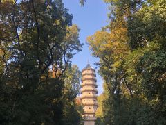 -灵谷景区