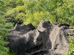 -寻龙山风景旅游区