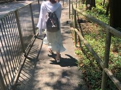 -黄家驹墓