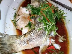 -景阁酒店(广州白云国际机场T2航站楼店)