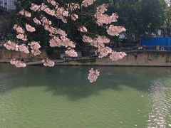-红星桥(地铁站)