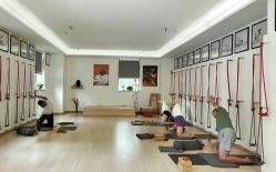 -成都阿难陀艾扬格瑜伽中心