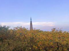 -宝石山