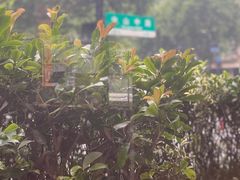 -麦当劳(杭州庆春路店)