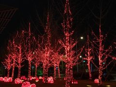 -常州环球恐龙城维景国际大酒店