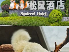 -佛冈森波拉度假区