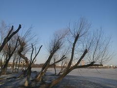 -长春市南湖公园