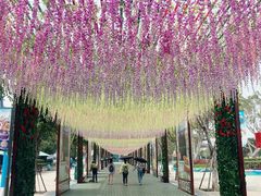 -厦门方特梦幻王国