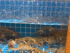 -汉来海港·海鲜自助餐厅(上海七宝领展广场店)