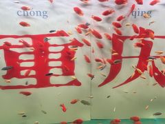 -重庆欢乐海底世界