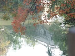 -八大山人梅湖景区