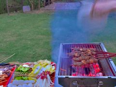 -前小桔亲子创意农场·草莓采摘·露营烧烤