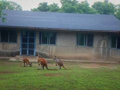 -西安秦岭野生动物园