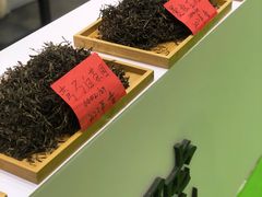 -南宁国际会展中心(会展东博文化旅游区)
