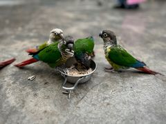-昆明动物园