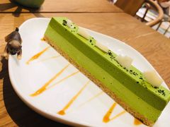 -柴务处·柴犬主题狗咖