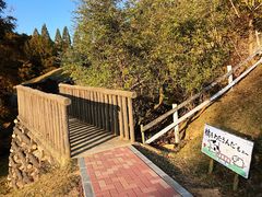 -神户市立六甲山牧场