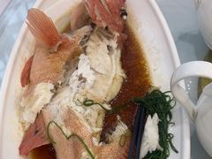 -金华安大酒楼·老牌潮菜·粤式茶点(东方国际店)