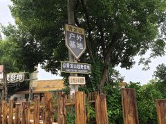 -青龙山国家森林公园