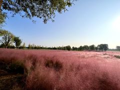 -汉长安城未央宫国家考古遗址公园