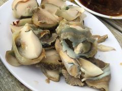 -毕家疃综合市场
