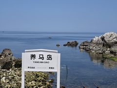 -养马岛旅游度假区