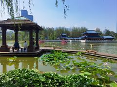 -雁滩公园