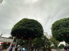 -星巴克(福州三坊七巷店)