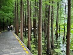 -云龙湖旅游景区