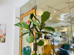-Cafe on warm(丹霞店)