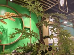 -鲜潭蒸汽石锅鱼(五道口购物中心店)