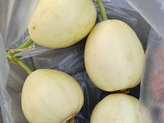 -麦凯乐(开发区店)