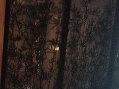 -星河湾温泉洗浴酒店