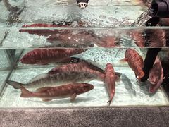 -万龙洲海鲜(大兴绿地缤纷城店)