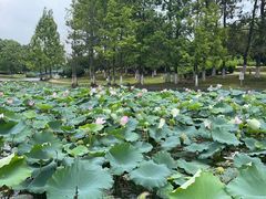 -白塘生态植物园