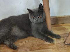 -壹人壹像工作室(购物公园店)