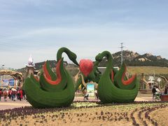 -西海岸生态观光园