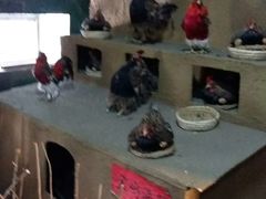 -龙塔