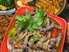 -正宗南铁拉叔沙煲螺·烧烤·秘制靓粥(南铁总店)